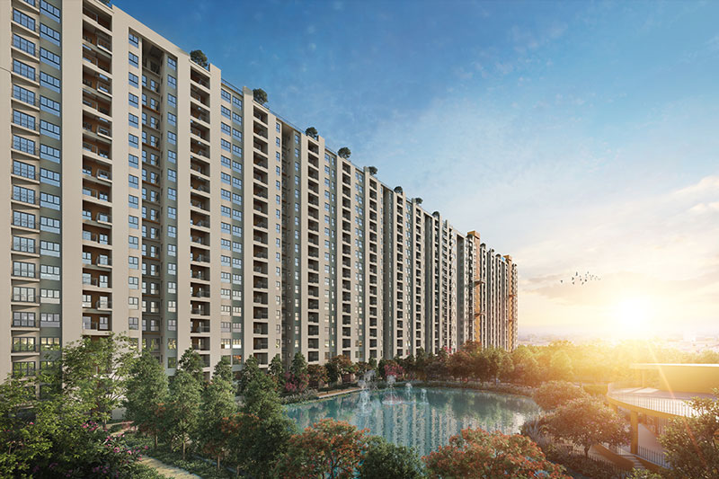 Solaris Shalimar